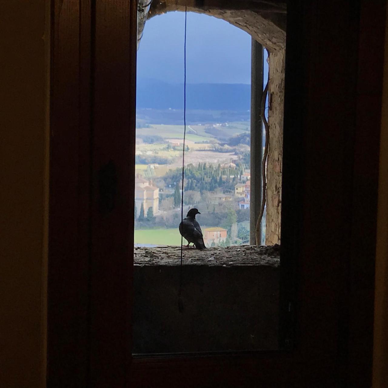 Residenza Teatro Antico Otel Todi Dış mekan fotoğraf